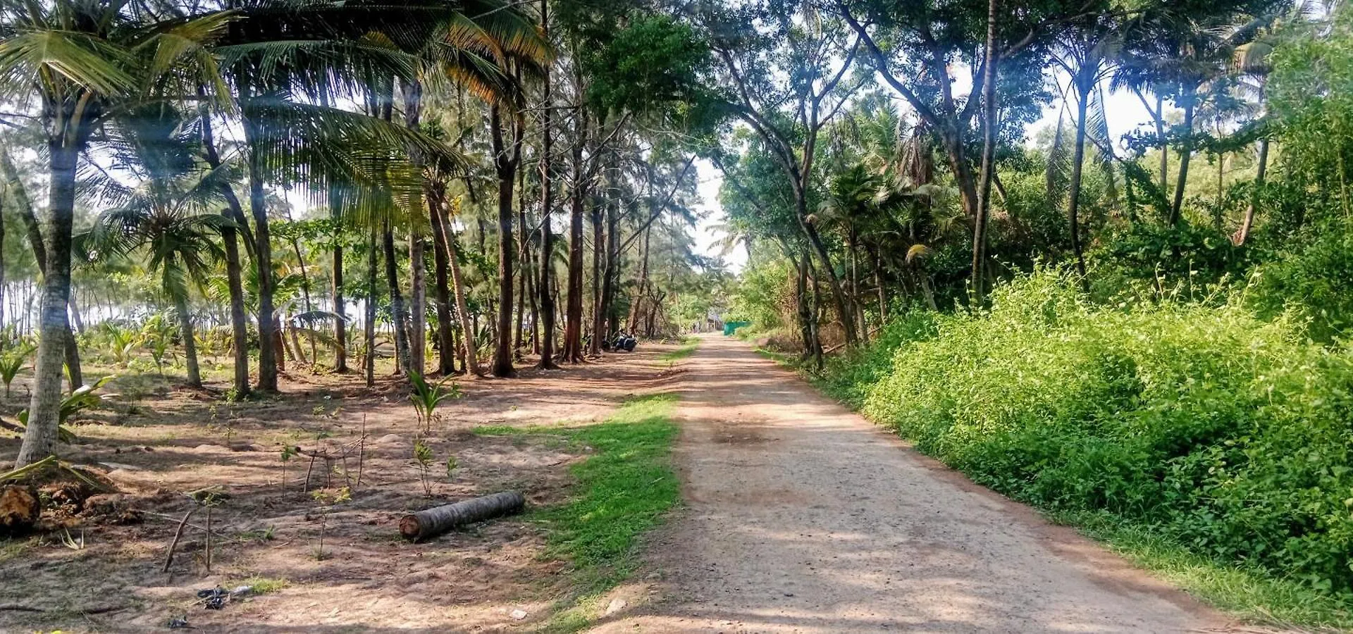 Marrari Felix Home Alappuzha